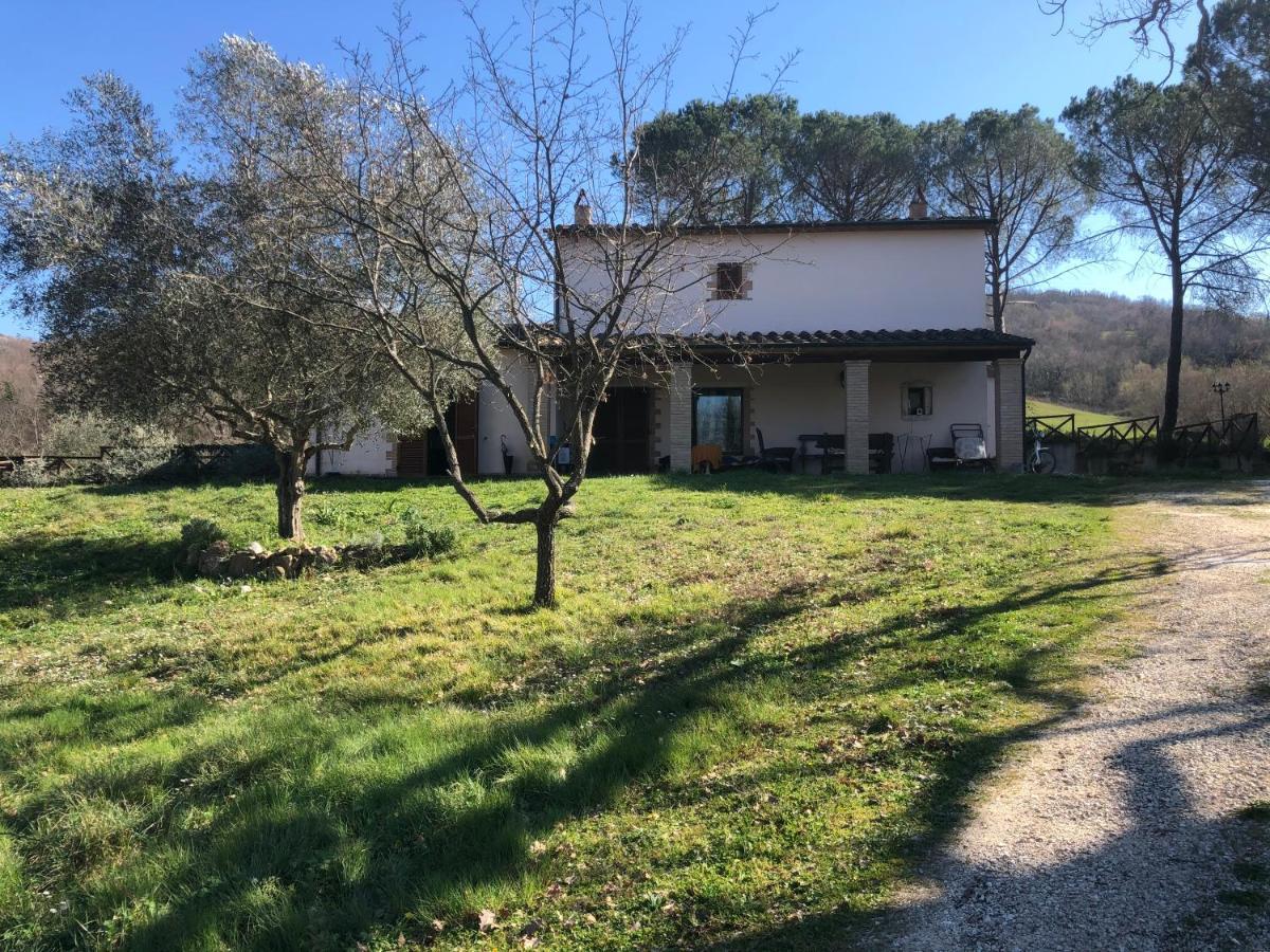 Villa Casa Indipendente In Paese Con Giardino Saturnia Exterior foto